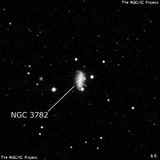 NGC 3782 - спиральная галактика с баром. Описание NGC 3782:, Галактика в созвездии Большая Медведица
