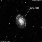 NGC 3810 - спиральная галактика. Описание NGC 3810:, Галактика в созвездии Лев