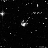 NGC 3836 - спиральная галактика. Описание NGC 3836:, Галактика в созвездии Чаша