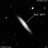 NGC 3877 - спиральная галактика. Описание NGC 3877:, Галактика в созвездии Большая Медведица