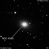 NGC 4589 - эллиптическая галактика. Описание NGC 4589:, Галактика в созвездии Дракон
