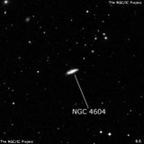 NGC 4604 - галактика неправильной формы. Описание NGC 4604:, Галактика в созвездии Дева