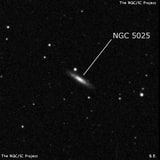 NGC 5025 - спиральная галактика. Описание NGC 5025:, Галактика в созвездии Гончие Псы