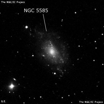 NGC 5585 - спиральная галактика с баром. Описание NGC 5585:, Галактика в созвездии Большая Медведица