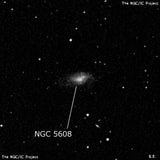 NGC 5608 - галактика неправильной формы. Описание NGC 5608:, Галактика в созвездии Волопас
