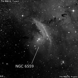 NGC 6559 - туманность. Описание NGC 6559:, Комплекс туманностей в созвездии Стрелец
