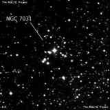 NGC 7031 - рассеянное скопление звёзд. Описание NGC 7031:, Рассеянное скопление в созвездии Лебедь