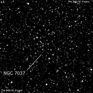 NGC 7037 - группа звёзд. Описание NGC 7037:, Рассеянное скопление в созвездии Лебедь