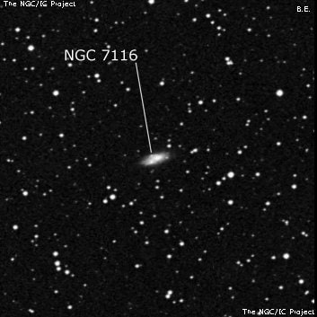 NGC 7116 - галактика. Описание NGC 7116:, Галактика в созвездии Лебедь