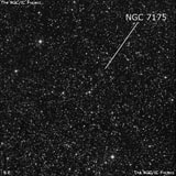 NGC 7175 - группа звёзд. Описание NGC 7175:, Рассеянное скопление в созвездии Лебедь