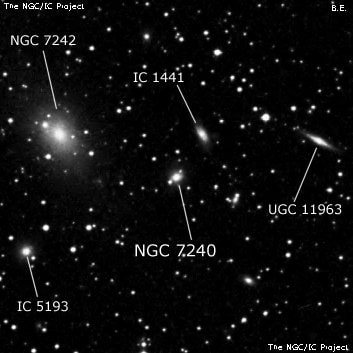 NGC 7240 - галактика. Описание NGC 7240:, Галактика в созвездии Ящерица