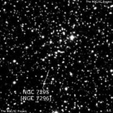 NGC 7295 - рассеянное скопление звёзд. Описание NGC 7295:, Объект глубокого космоса в созвездии Ящерица