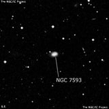 NGC 7593 - галактика. Описание NGC 7593:, Галактика в созвездии Пегас