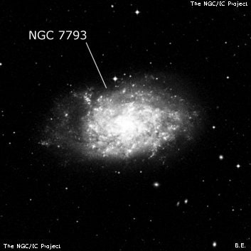 NGC 7793 - галактика. Описание NGC 7793:, Галактика в созвездии Скульптор