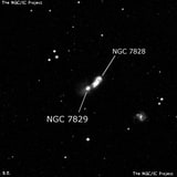 NGC 7829 - галактика. Описание NGC 7829:, Галактика в созвездии Кит